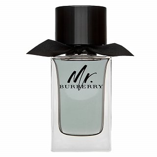 Burberry Mr. Burberry woda toaletowa dla mężczyzn 100 ml