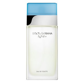 Dolce & Gabbana Light Blue woda toaletowa dla kobiet 100 ml