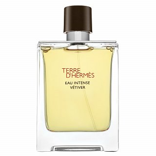 Hermes Terre D'Hermes Eau Intense Vetiver woda perfumowana dla mężczyzn 100 ml