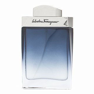 Salvatore Ferragamo Subtil Pour Homme woda toaletowa dla mężczyzn 50 ml